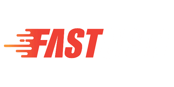 FS গেম logo